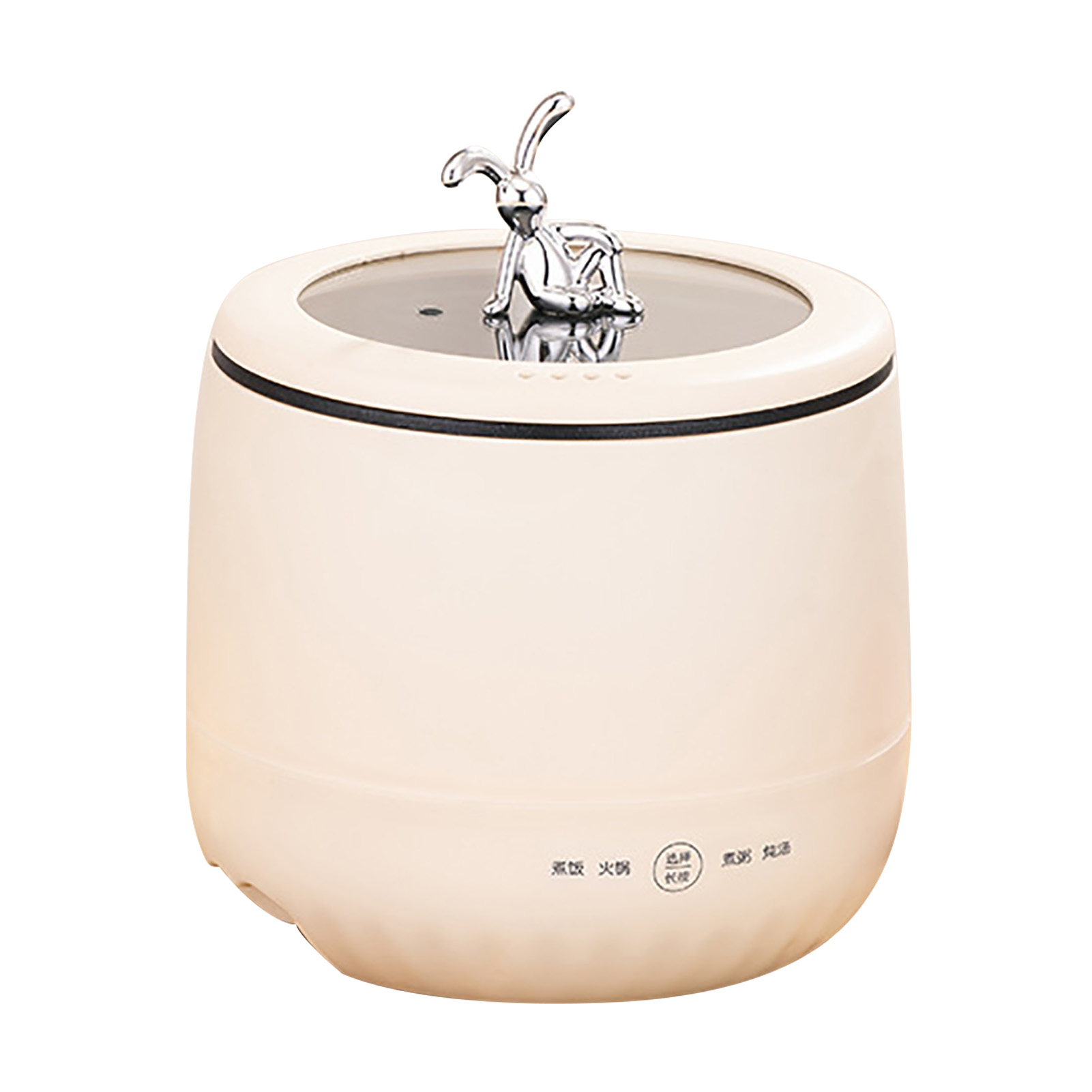 Slimme elektrische mini-rijstk - Meal Prep Rice recensie en prijs
