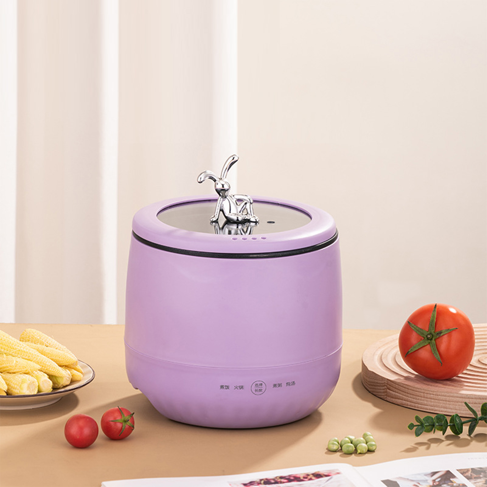 Slimme elektrische mini-rijstk - Meal Prep Rice recensie en prijs